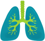 Lungs icon